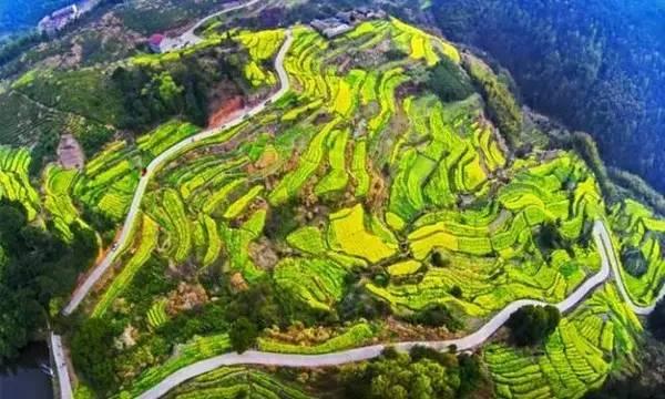 浙江最美的古村，全在浦江～