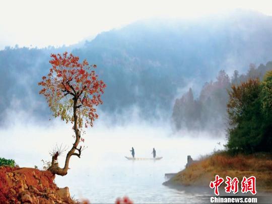 浙江浦江鄉(xiāng)村逆襲記：精耕細(xì)作煥新顏 青山綠水入畫來。浦江縣農(nóng)辦提供